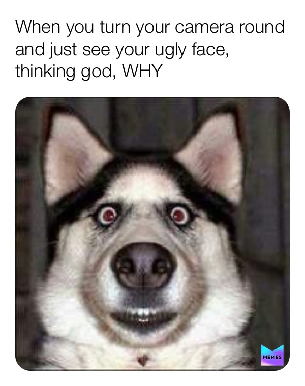 Meme by xox_emily_xox