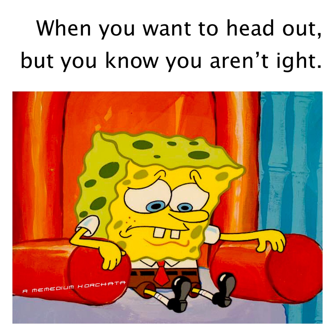 Meme by A_MeMedium_Horchata