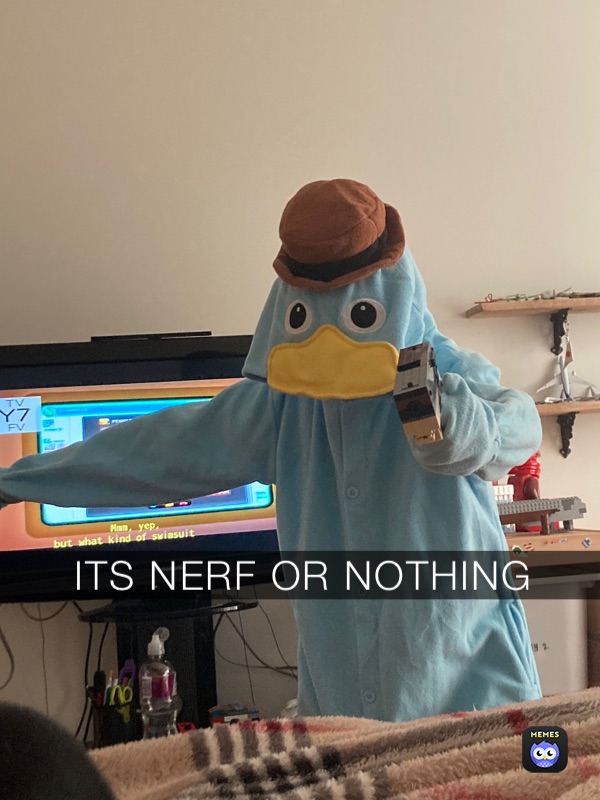 it's nerf or nothing