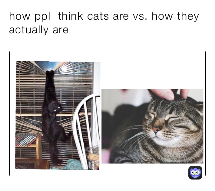 Meme by memes_duh_99