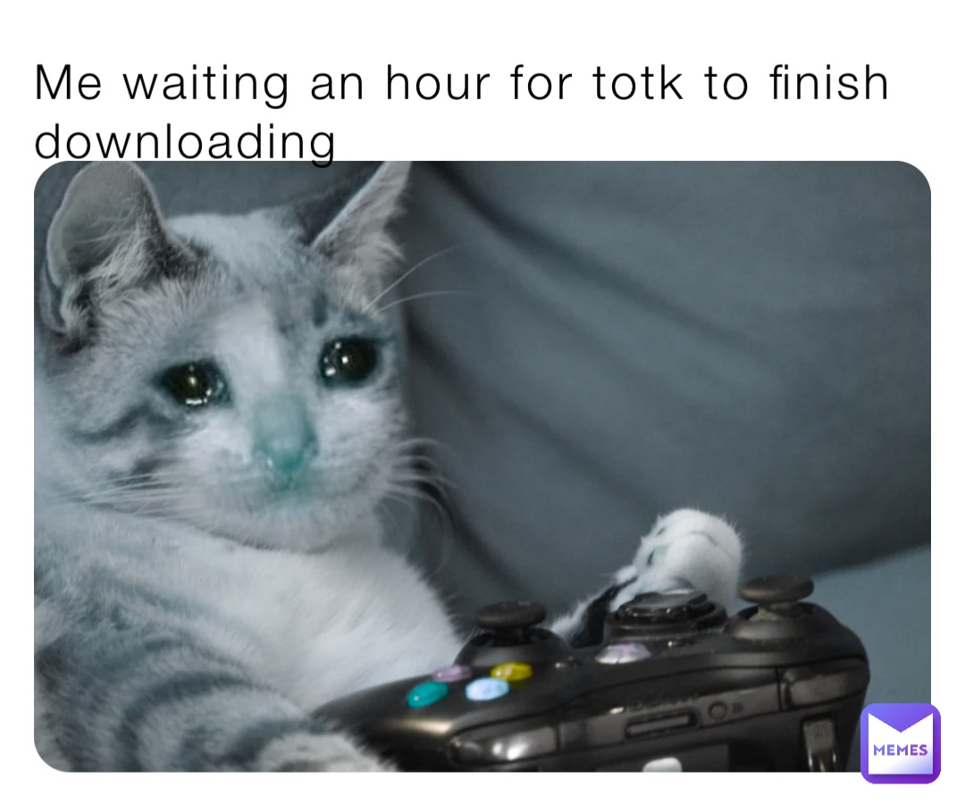 Me waiting an hour for totk to finish downloading