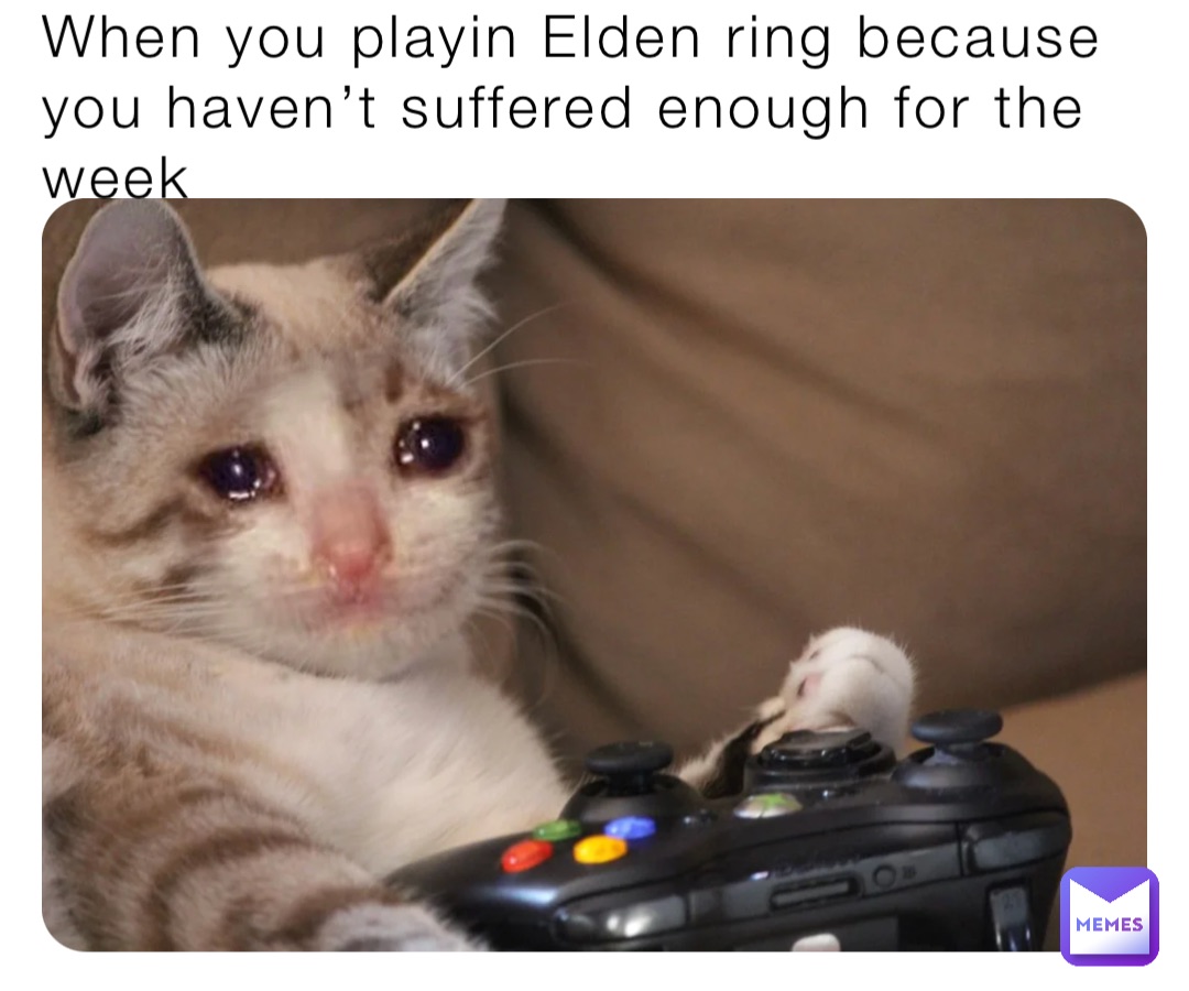 When You Playin Elden Ring Because You Haven T Suffered Enough For The   1687755023850 