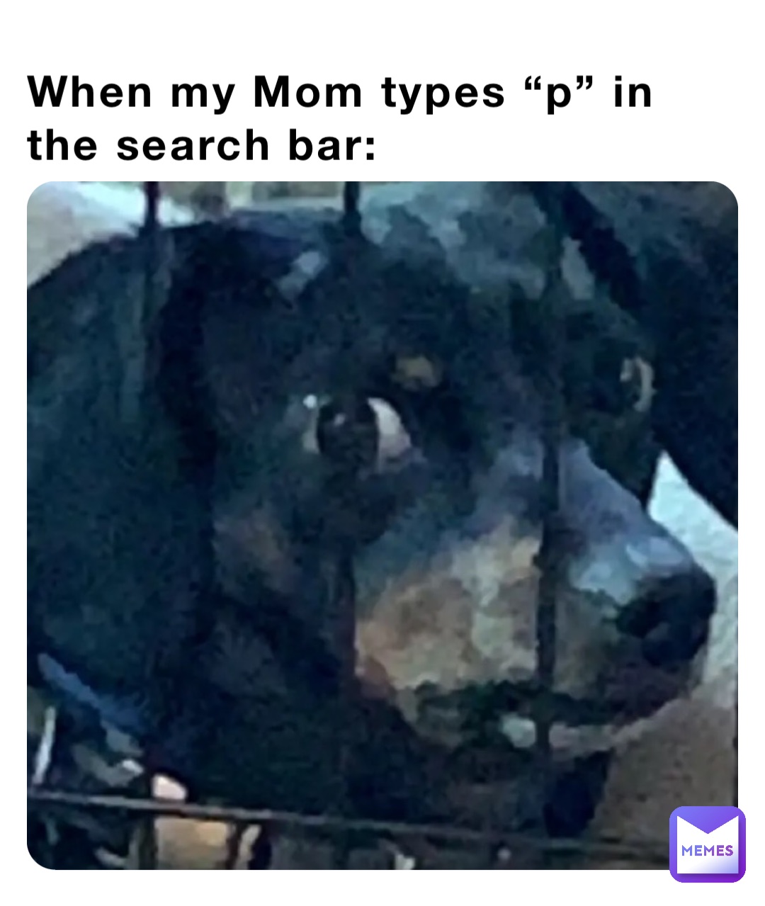 When my Mom types “p” in the search bar:
