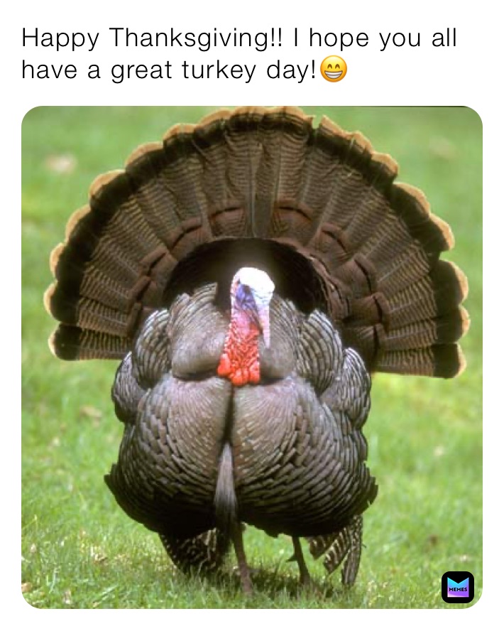 Happy Thanksgiving!! I hope you all have a great turkey day!😁