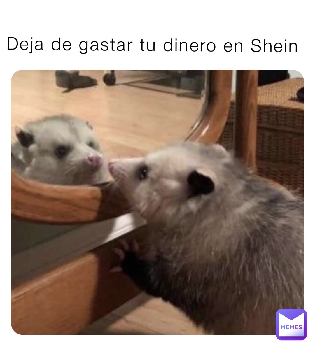 Deja de gastar tu dinero en Shein