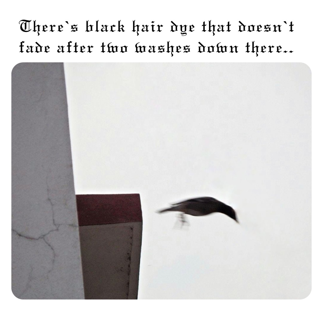 There’s black hair dye that doesn’t fade after two washes down there..