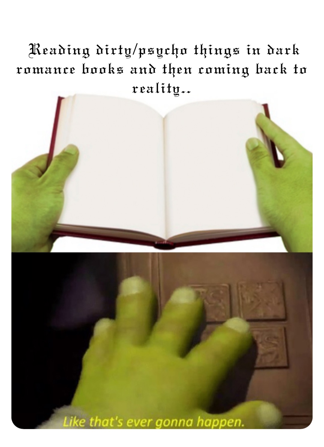 Reading dirty/psycho things in dark romance books and then coming back to reality..