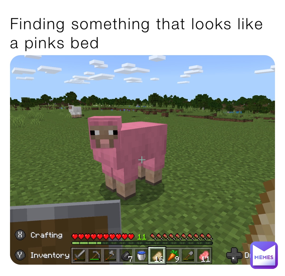 Finding something that looks like a pinks bed