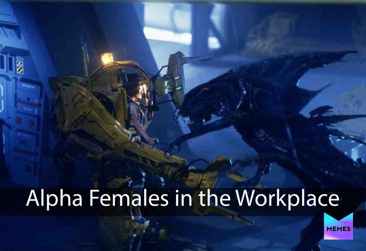 Alpha females  #female  #workproblems  #funny