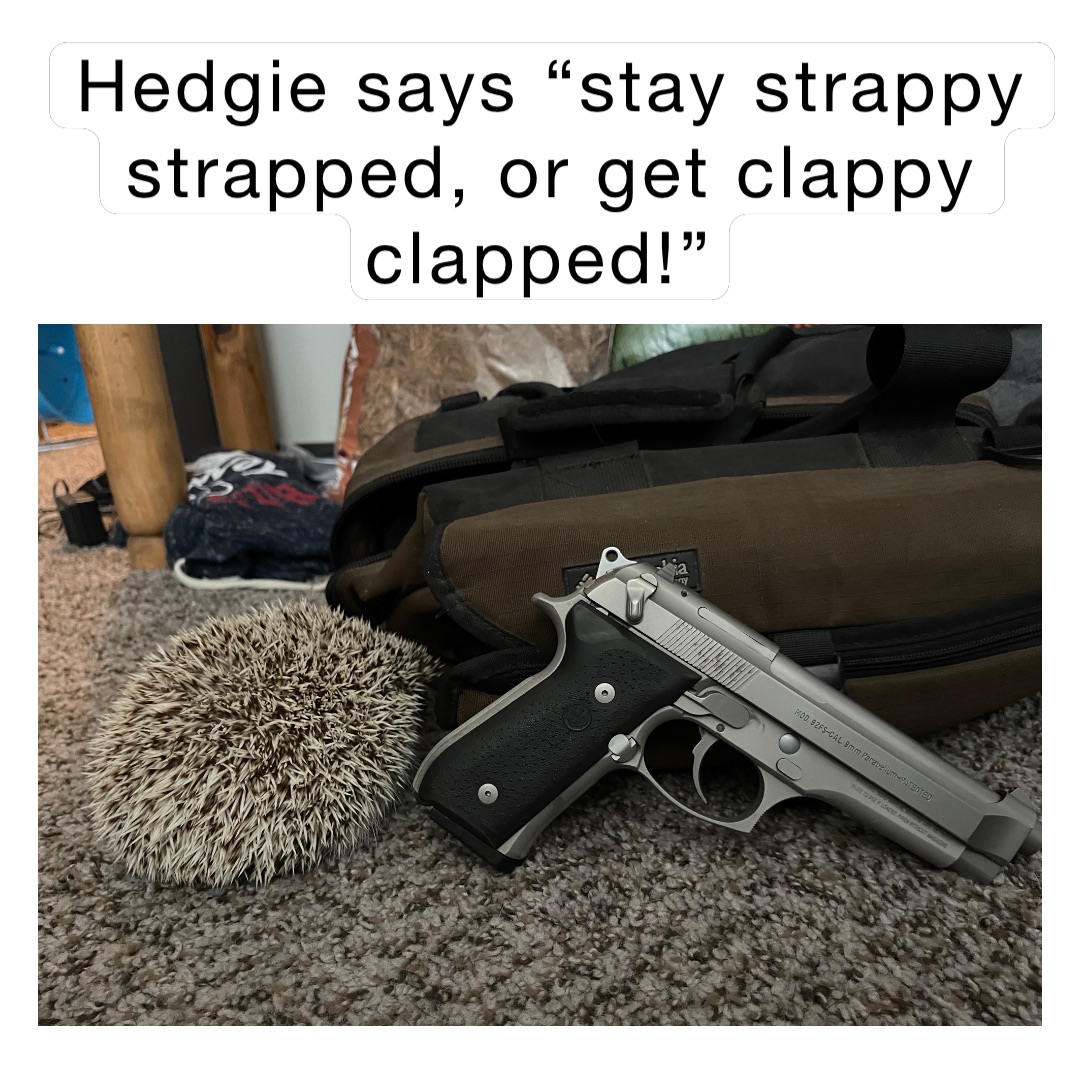 Hedgie says “stay strappy strapped, or get clappy clapped!”
