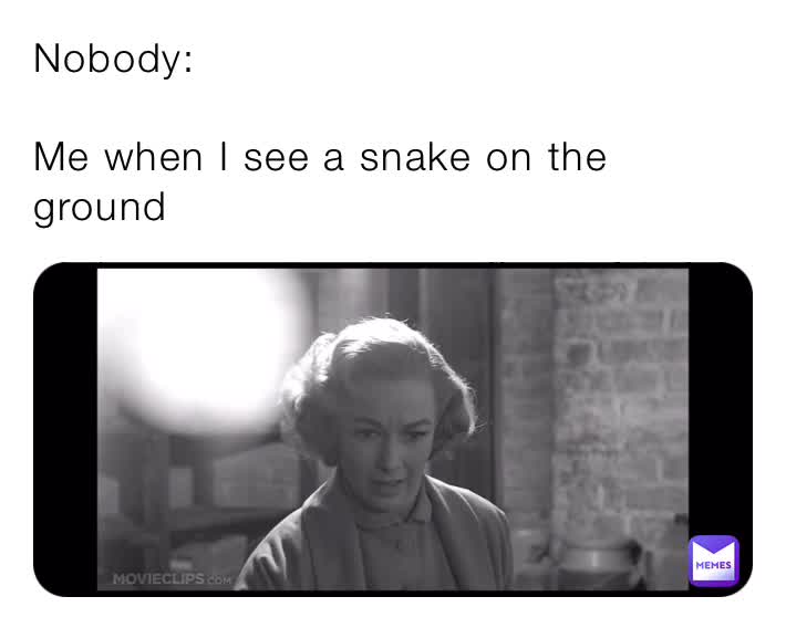 I fucking hate snakes π π #dankmemes #fearofsnakes #psycho #lilacrane #normanbates #bloodcurdlingscream