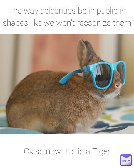 The way celebrities be in public in shades like we won't recognize them Ok so now this is a Tiger