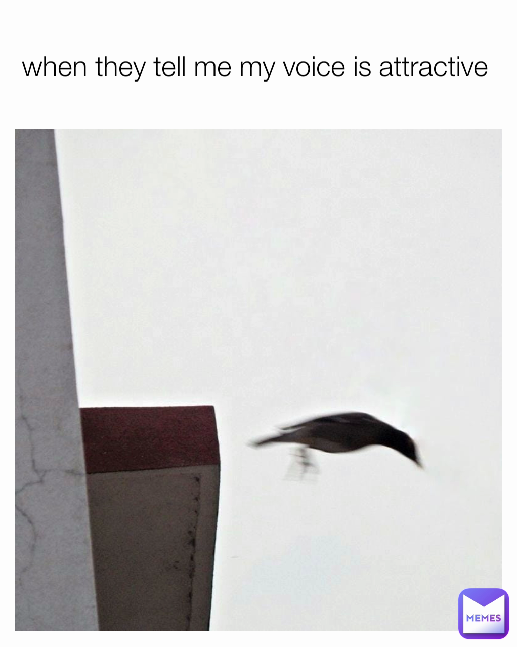 when they tell me my voice is attractive 