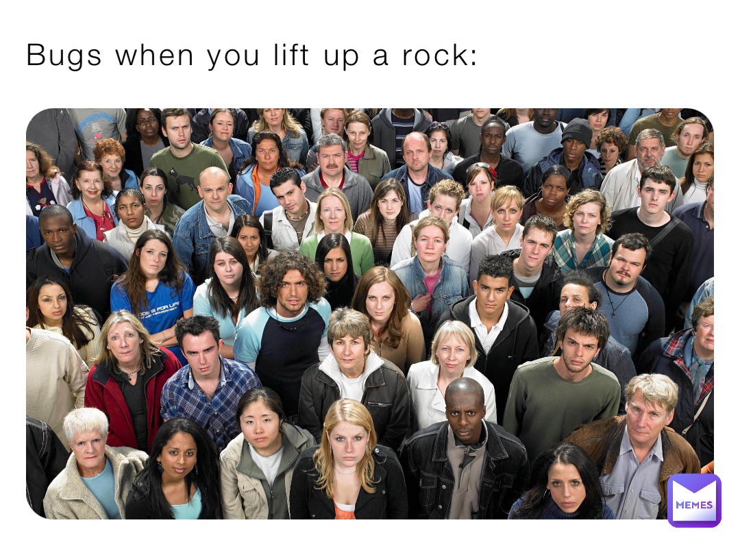 Bugs when you lift up a rock HeeHeeHeeHawMEMES Memes
