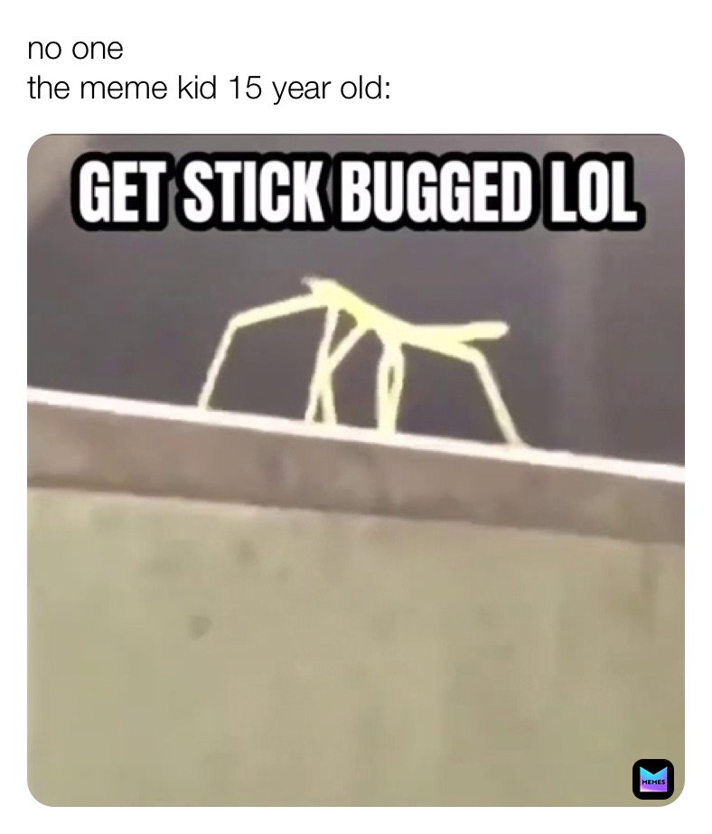 sushi_sensei on Memes: "Stick bug haha" .