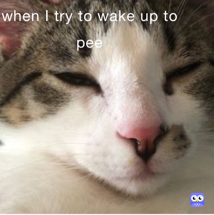 Meme by sir_meeeemes_a_lot