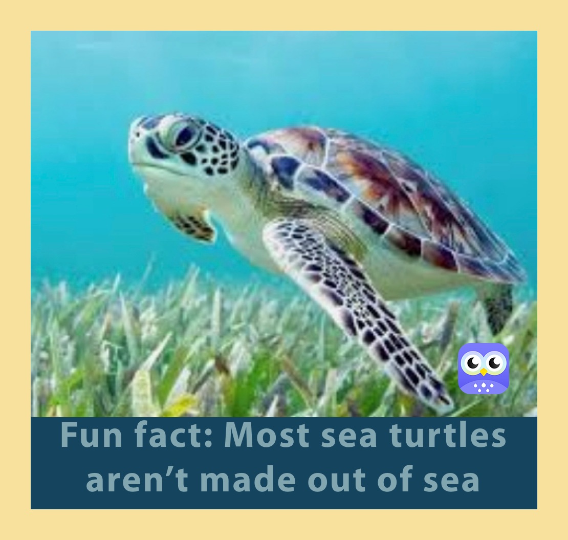 Meme by gnarlyyeeter