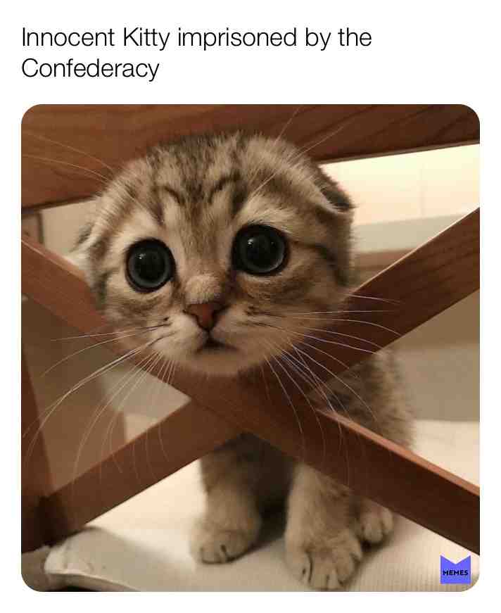 Meme shared by @MemeGuy2503