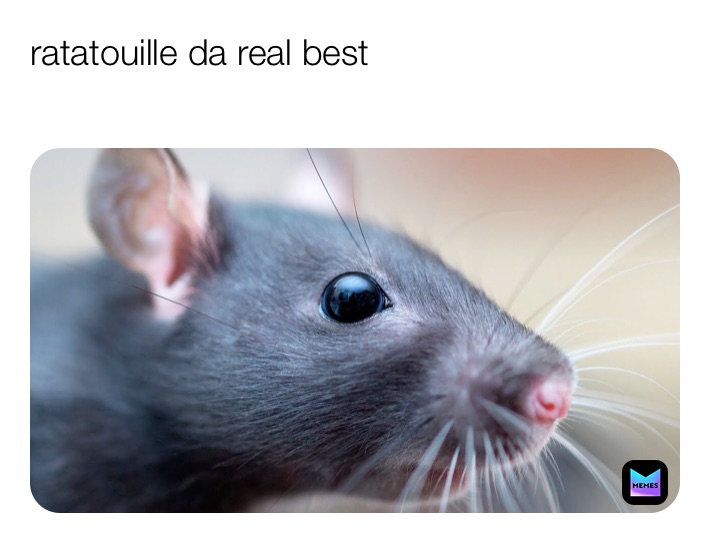 Meme by Butter_coolpants