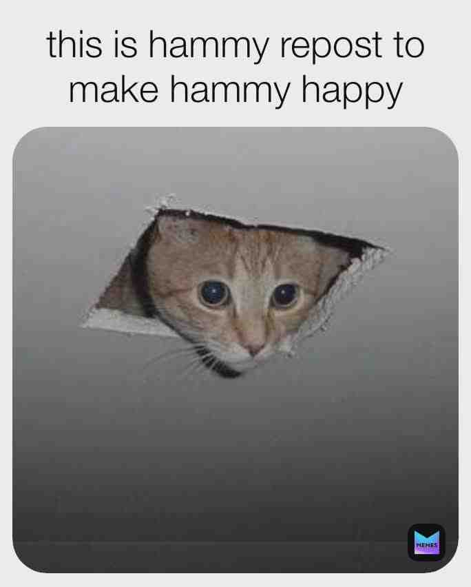 Meme shared by @lenathebeaner