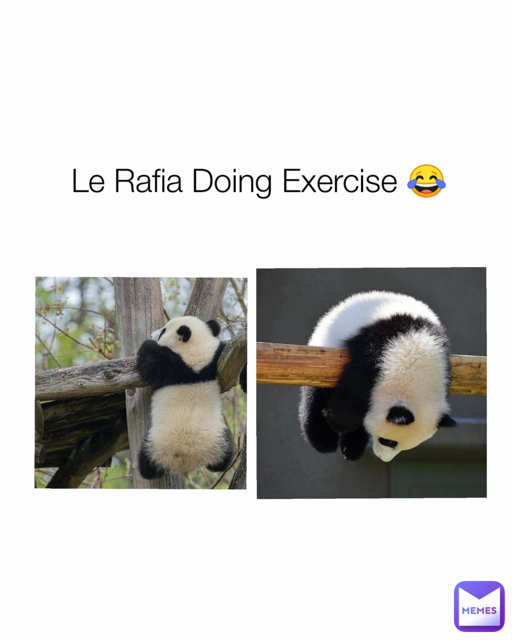 Le Rafia Doing Exercise 😂 Le Rafia Doing Exercise😂