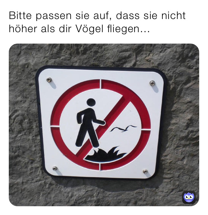 Bitte passen sie auf, dass sie nicht höher als dir Vögel fliegen...