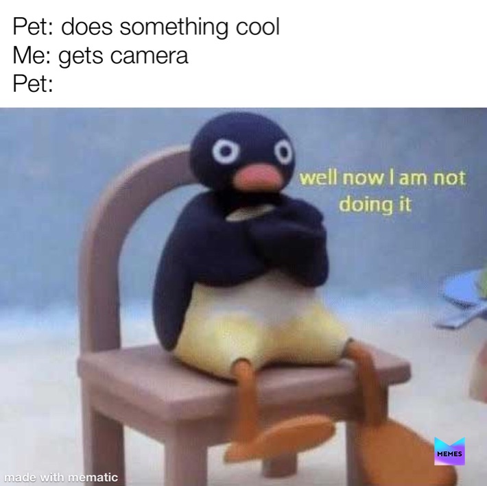 Meme by risky_memes13