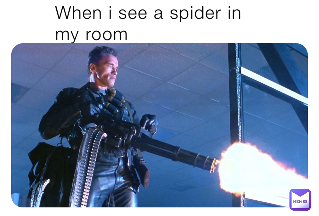 When i see a spider in my room