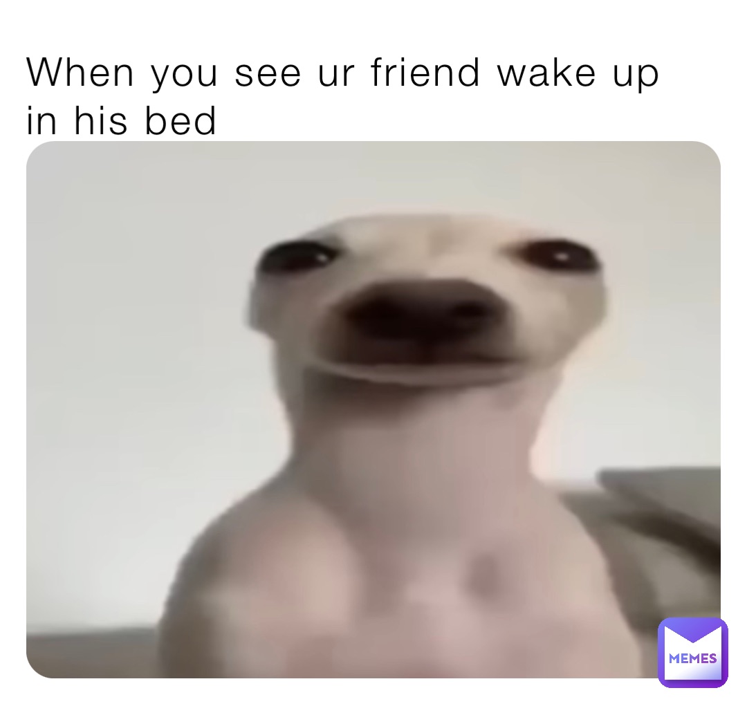 When you see ur friend wake up in his bed