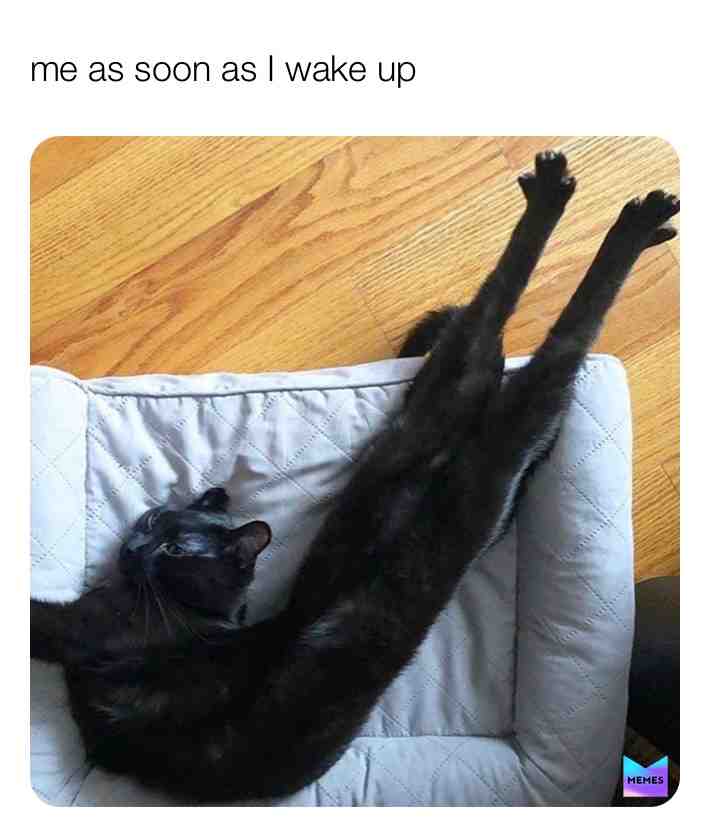 Meme shared by @malloryhale657