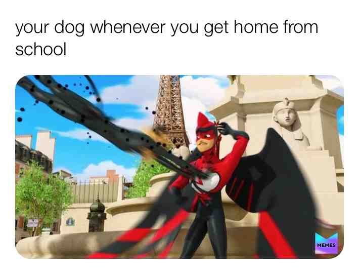 Same bro