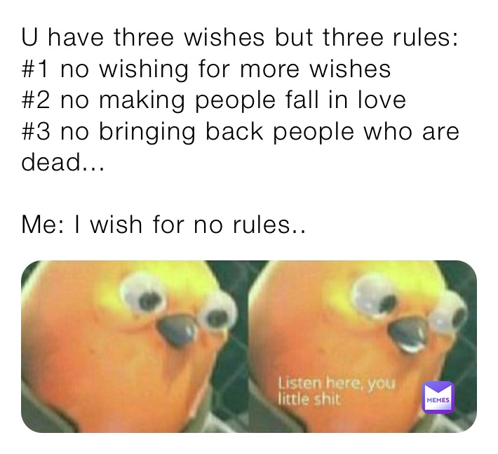 U have three wishes but three rules:
#1 no wishing for more wishes
#2 no making people fall in love
#3 no bringing back people who are dead...

Me: I wish for no rules..