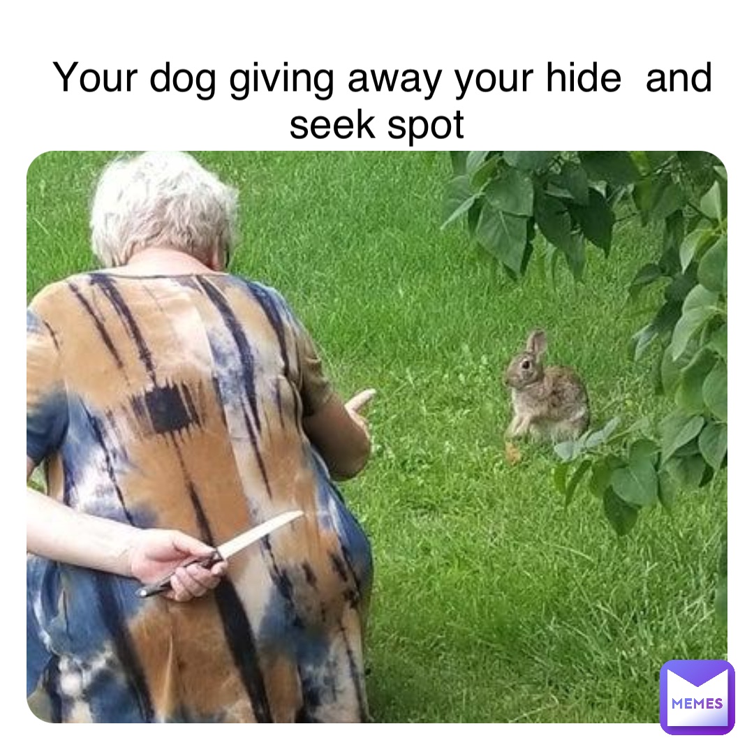 Double tap to edit Your dog giving away your hide  and seek spot