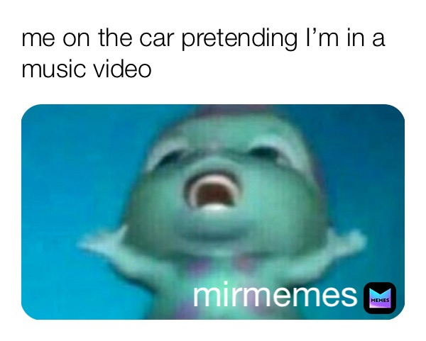 me on the car pretending I’m in a music video  mirmemes 