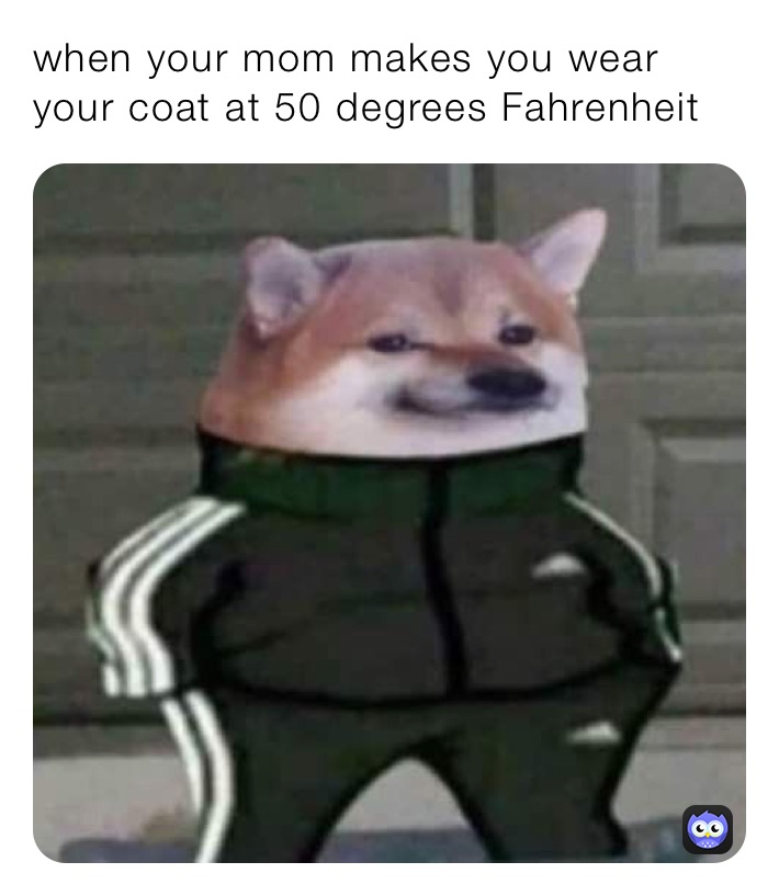 when your mom makes you wear your coat at 50 degrees Fahrenheit 