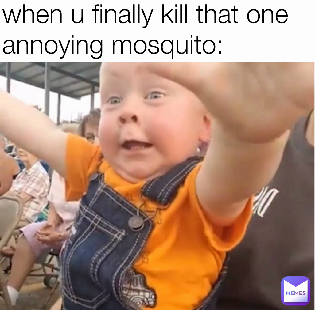 when u finally kill that one annoying mosquito: