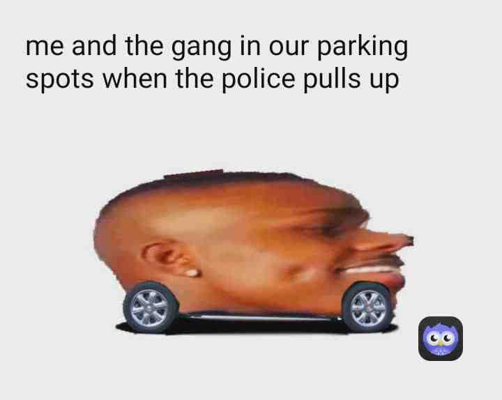 Meme shared by @RadiatedNick
