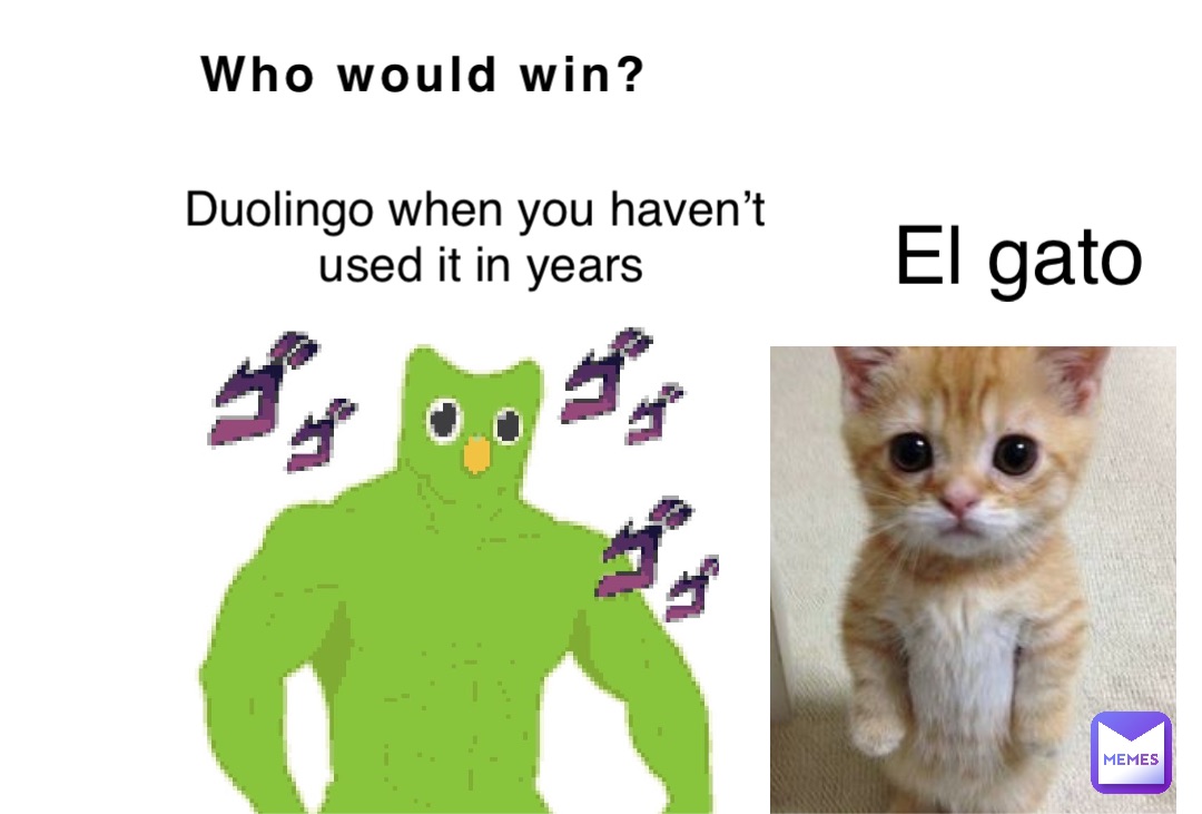 Who would win? Duolingo when you haven’t
 used it in years El gato