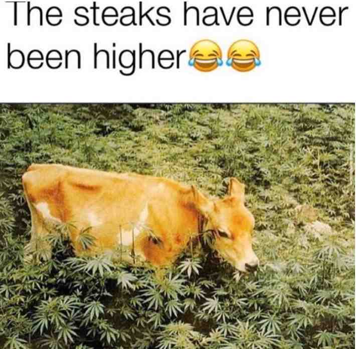 Meme shared by @satansabomination666