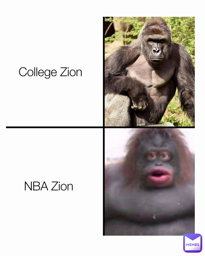 NBA Zion College Zion