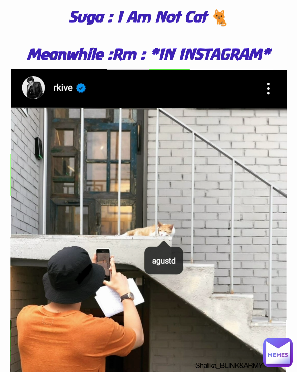 Shalika_BLINK&ARMY Suga : I Am Not Cat 🐈

Meanwhile :Rm : *IN INSTAGRAM*