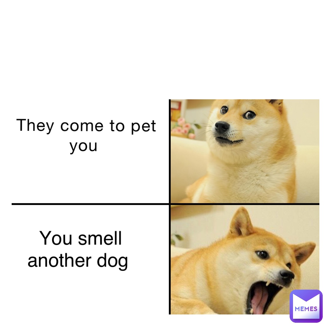 They come to pet you You smell another dog