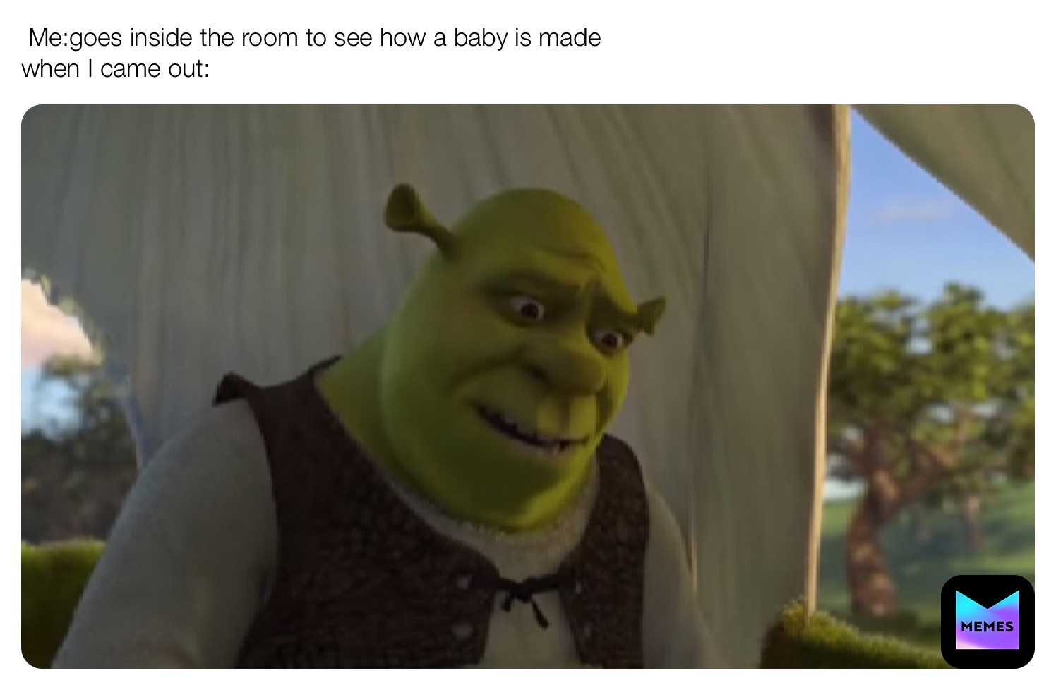 Meme by Memes_arelifeforme