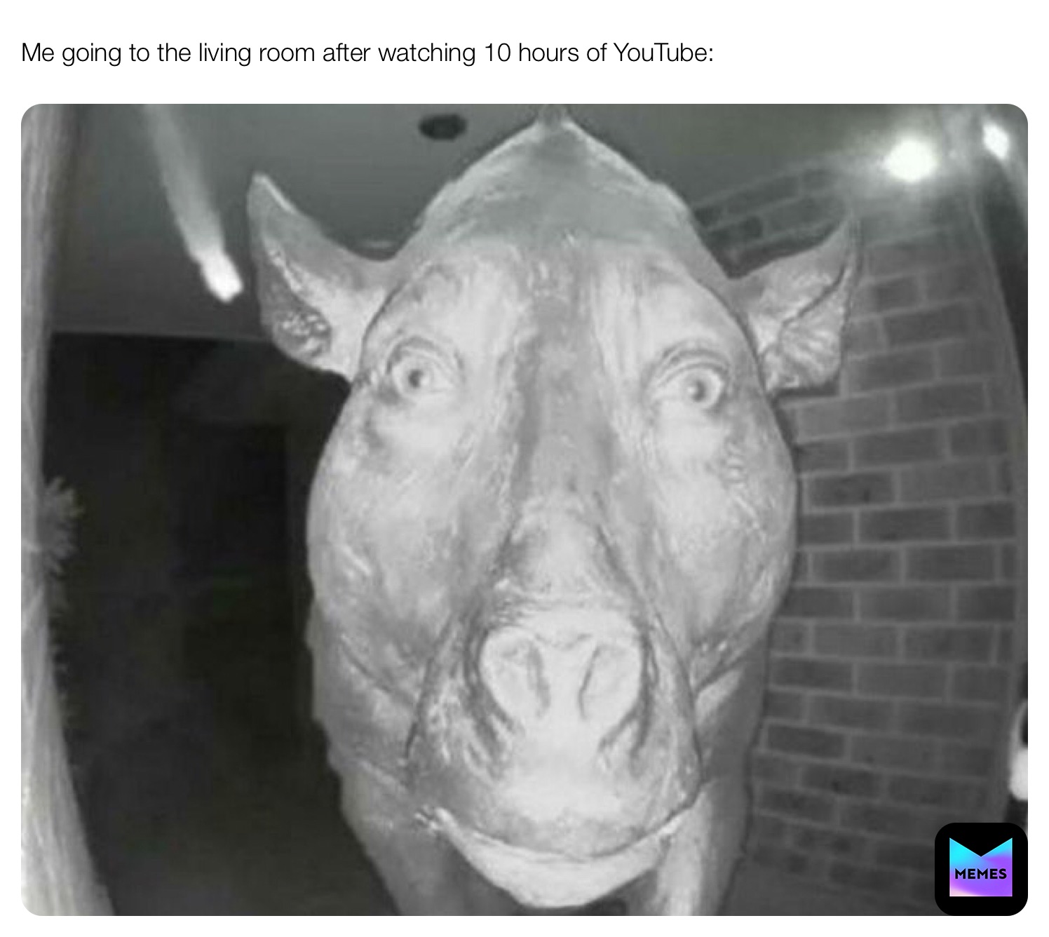 Meme by Memes_arelifeforme