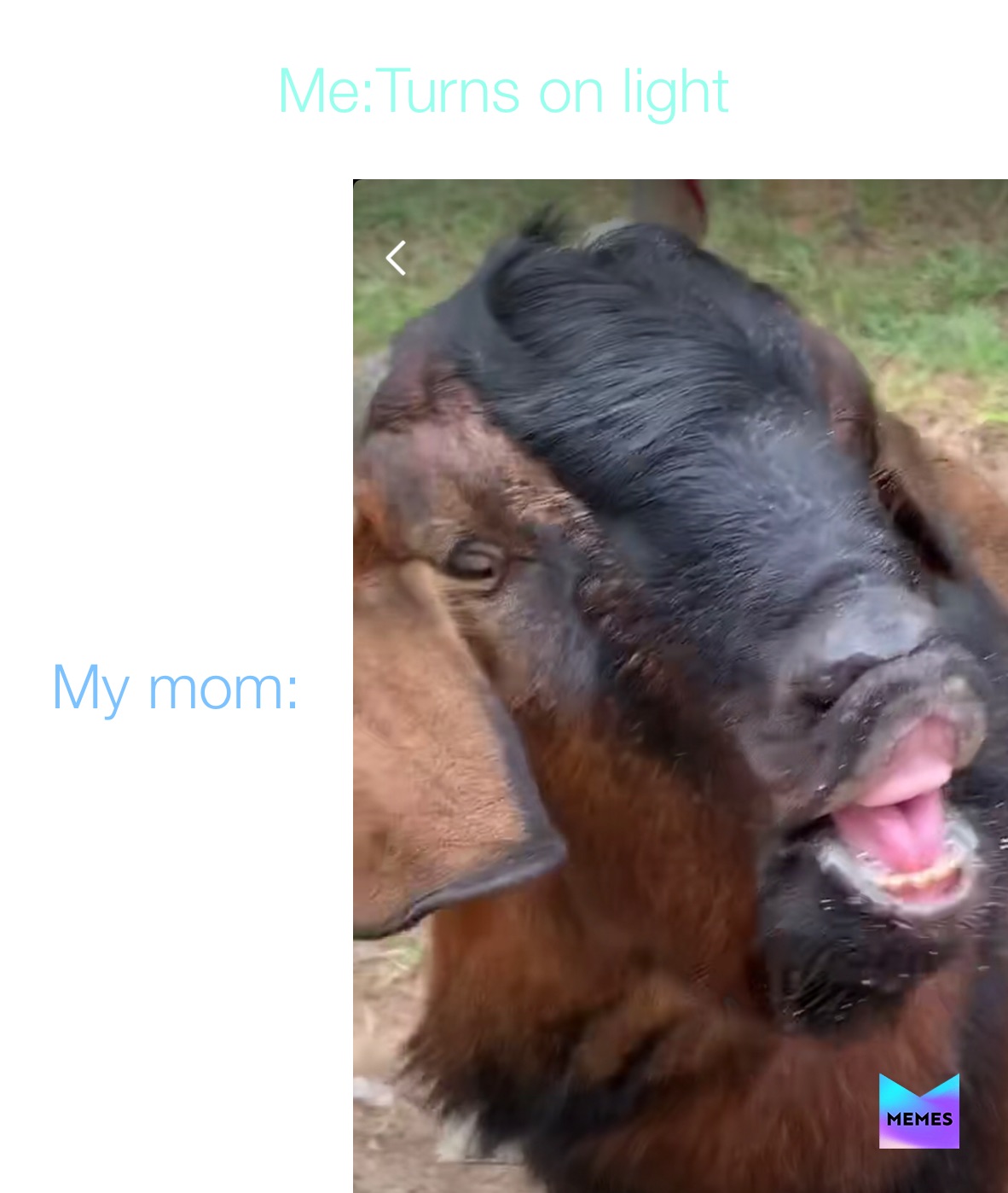 Meme by i_love_memes_xoxo