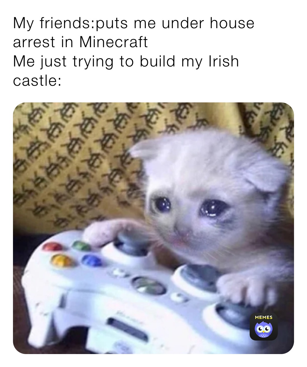 My friends:puts me under house arrest in Minecraft
Me just trying to build my Irish castle: