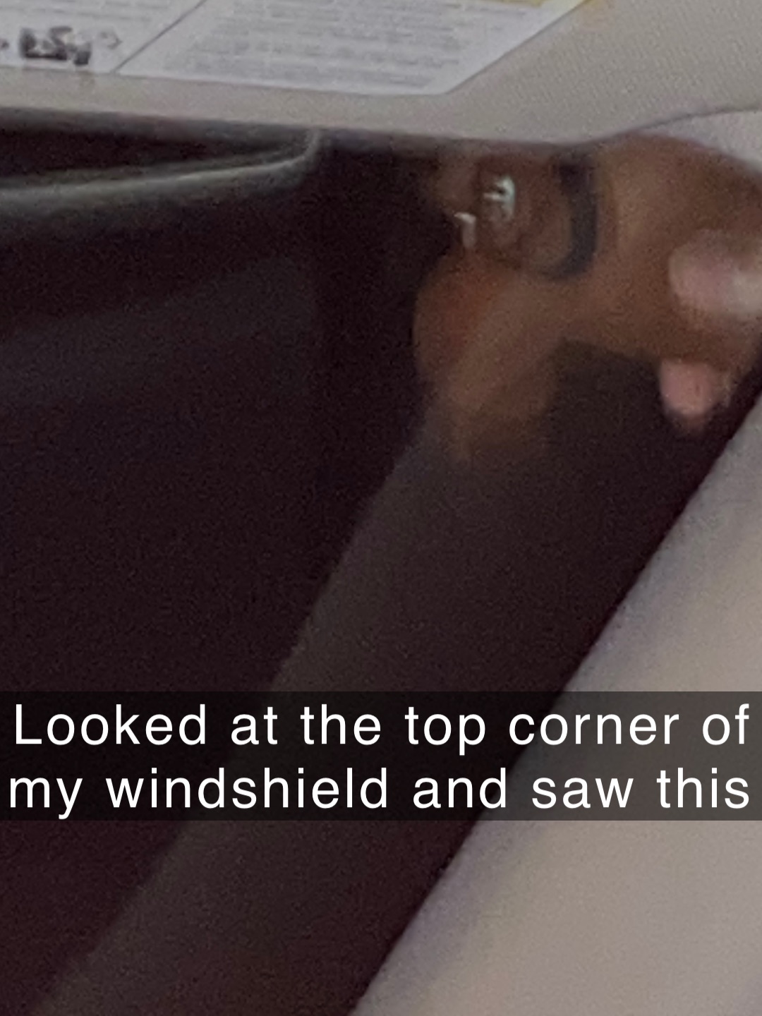 Looked at the top corner of my windshield and saw this