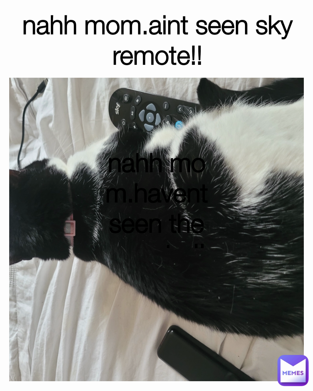 nahh mom.aint seen sky remote!! nahh mom.havent seen the remote !!