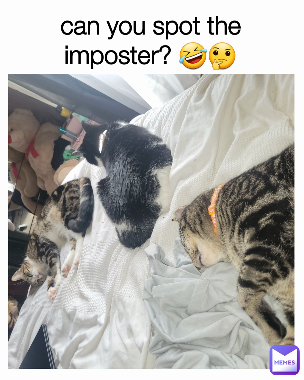 can you spot the imposter? 🤣🤔