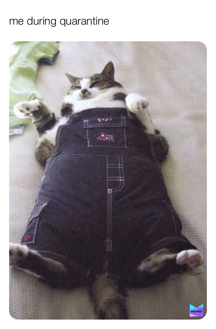 Meme by fantastictiger